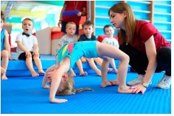 Школа спортивной гимнастики